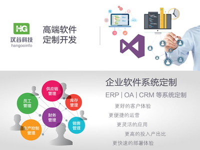 軟件定制開發(fā)服務(wù) 企業(yè)軟件高端定制